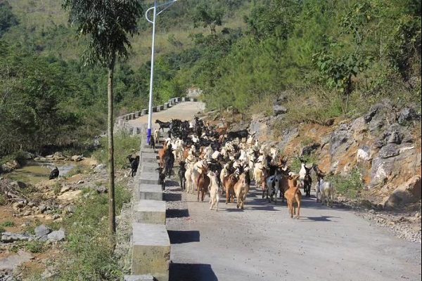 【華融扶貧】廣西分公司:落實(shí)掛牌督戰(zhàn)任務(wù) 積極助力脫貧攻堅(jiān)