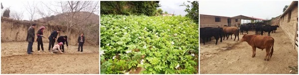 【華融扶貧】甘肅分公司: 情系藏區(qū)擔(dān)使命 精準(zhǔn)幫扶促脫貧