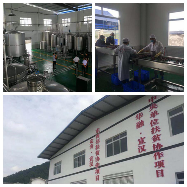 中國華融：創(chuàng)新扶貧模式 整合金融資源 全力以赴確保高質量完成脫貧攻堅任務