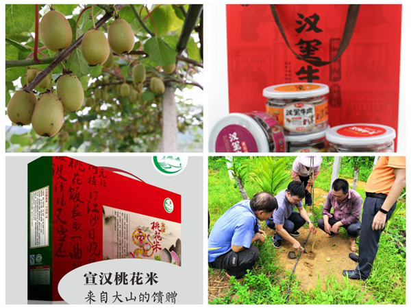 中國華融：創(chuàng)新扶貧模式 整合金融資源 全力以赴確保高質量完成脫貧攻堅任務